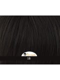 Perücke American Salon Gisela Mayer gewellt, natürlicher Glamour-Look (Farbe 1001/22-20+14)