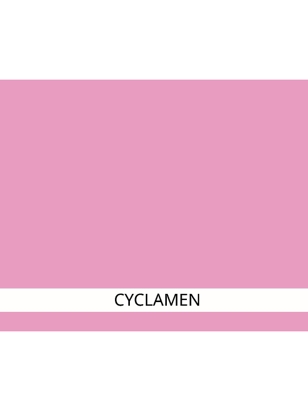 Rouge Eye Care Cosmetics: hochverträglicher Blush, weiche Textur, natürlicher Frischeteint-Effekt, 6 Farbtöne