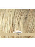 Clip-Pferdeschwanz wellig 40 cm Gisela Mayer Clip Wavy Long, Kunstfaser, natürlicher Effekt (Golden Blond)