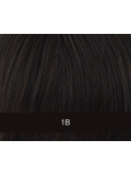 Glatte Pferdeschwanz-Extension New Tango Straight Gisela Mayer, Klemmenbefestigung, natürliches und dezentes Finish