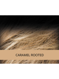 Volumateur Lace Top Clip-in aus synthetischen Fasern 17x16 cm, dezentes Volumen am Scheitel, Rooted/Mix-Effekt