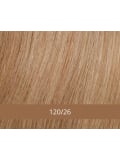 Volumateur Style 162 H Echthaar 30 cm aus glattem Echthaar, Basis 12 x 12,5 cm, Befestigung durch Clips und P.U.