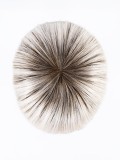 Perücke Cher Ellen Wille: lang, glatt und glänzend, hitzebeständige Faser, Ansatzeffekt (rooted) und Balayage (mix).