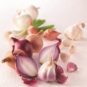 knoblauch_zwiebeln_antikrebsm