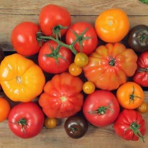 Tomaten Anti-Krebs