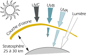 Schema der Zusammensetzung der Sonne
