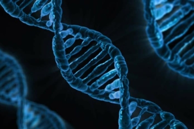 Henrietta Lacks und ihre unsterblichen Zellen: Entdecken Sie, wie diese Frau die